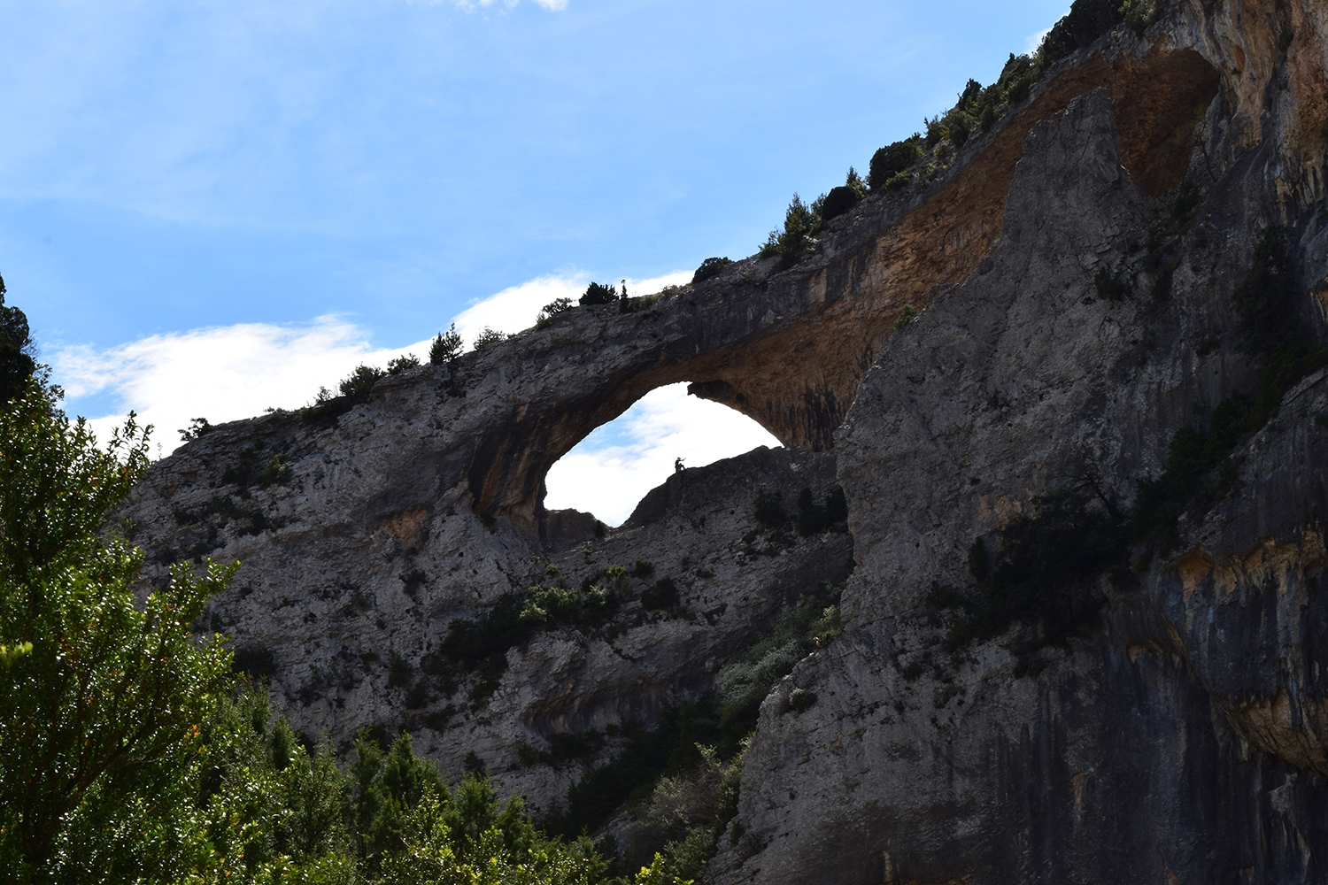 Le dauphin du Mascun