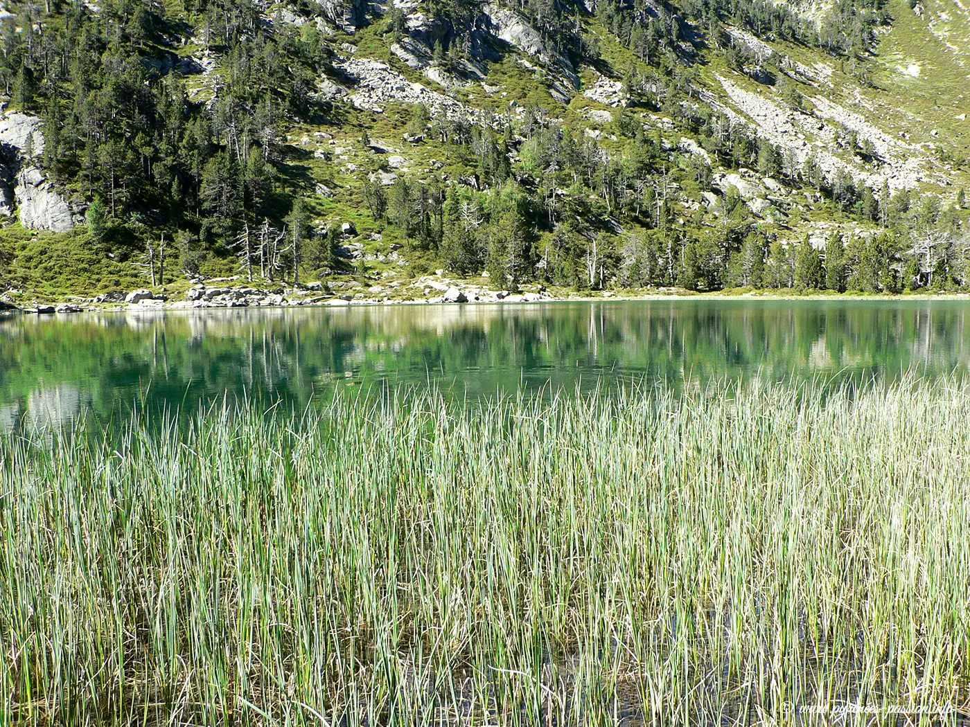 Réserve Naturelle du Néouvielle - Les Laquettes Réserve Naturelle du Néouvielle - Les Laquettes
